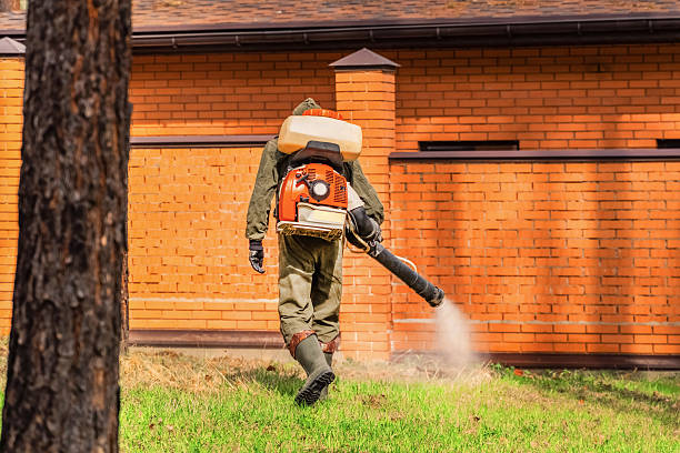 Trusted Bed Bug Control service in Telford, PA - Nex Pest Control